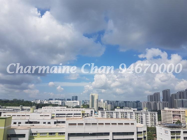 Hillview Regency (D23), Condominium #148569272